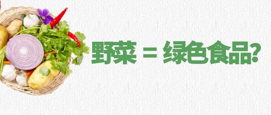 野菜＝绿色食品？这些野菜食用的大坑别再踩了！ 