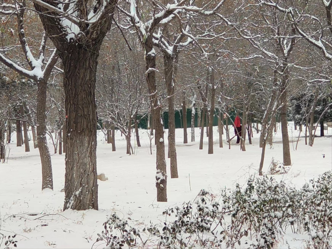 【应急科普】警惕雪后最容易滑倒的地方，雪天防滑学走“企鹅步” 